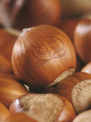 The Giffoni Hazelnut, the quintessence of flavour